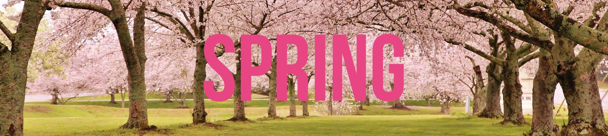 Spring Poster